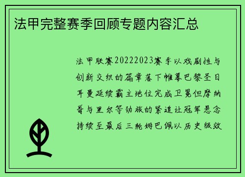 法甲完整赛季回顾专题内容汇总